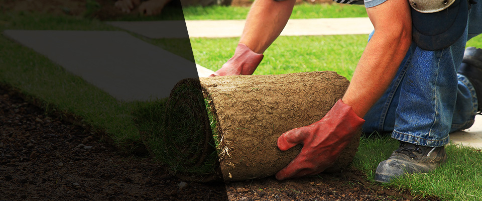 West Grove Landscapers